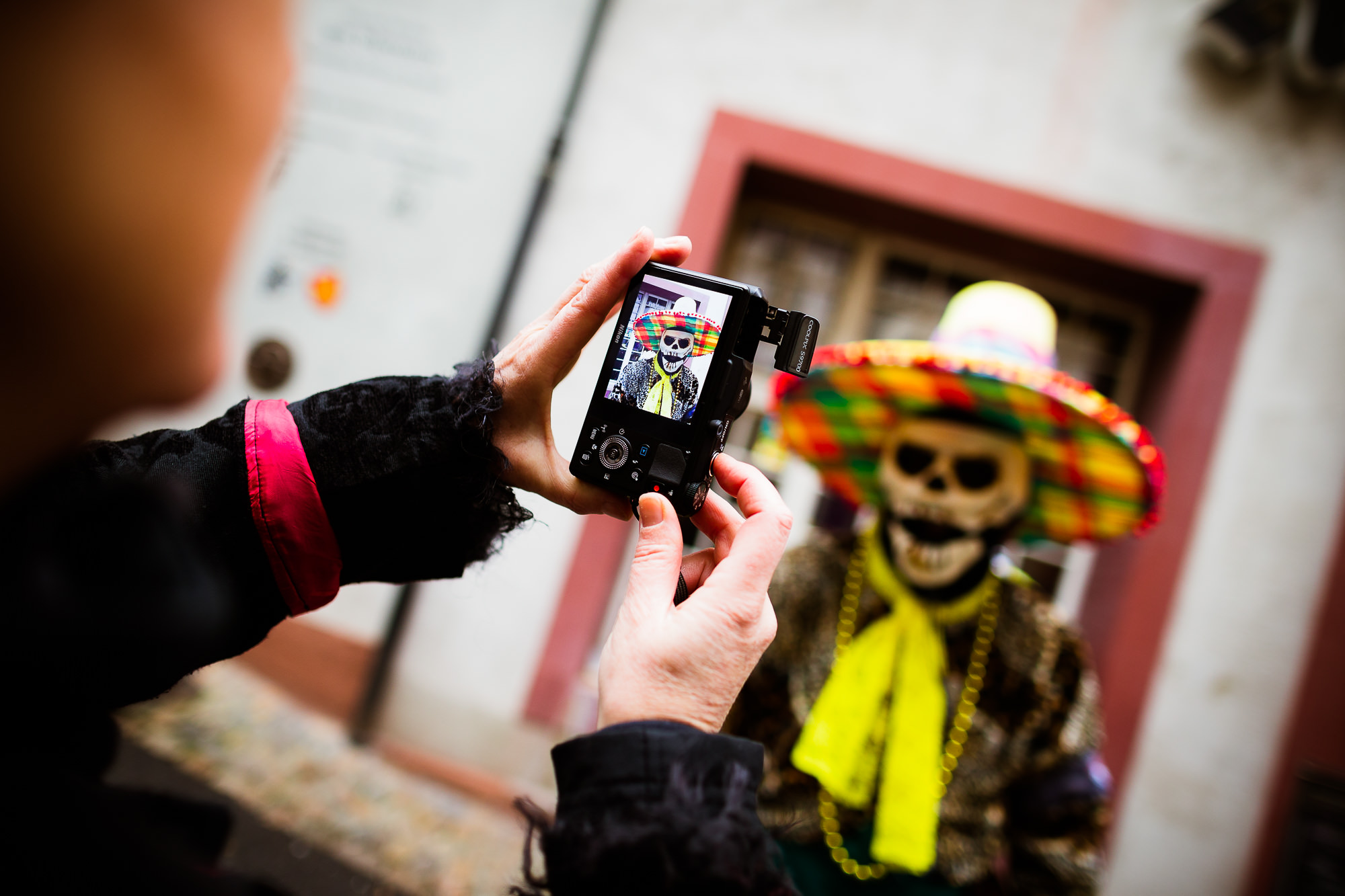 Export x3 1DX 6801 Basler Fasnacht 2016